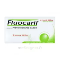 Fluocaril Bi-fluoré 250 Mg Pâte Dentifrice Menthe 2t/125ml à Auterive